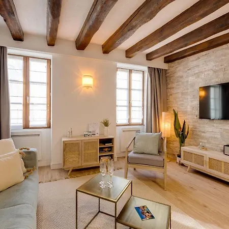 Le Grenette - Appartement Pour 2 A 4 Personnes En Plein Coeur D'Annecy Buitenkant foto