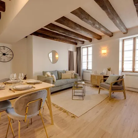 Le Grenette - Appartement Pour 2 A 4 Personnes En Plein Coeur D'Annecy Buitenkant foto