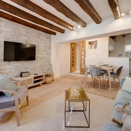 Le Grenette - Appartement Pour 2 A 4 Personnes En Plein Coeur D'Annecy Buitenkant foto
