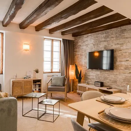 Le Grenette - Appartement Pour 2 A 4 Personnes En Plein Coeur D'Annecy Buitenkant foto